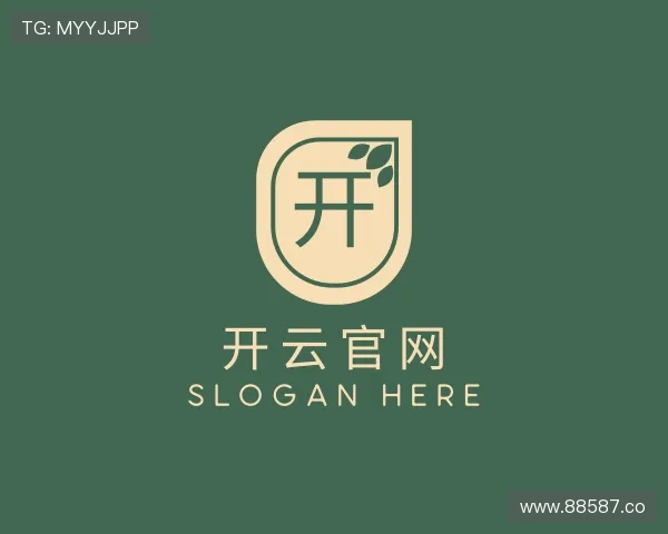 探究开云官网